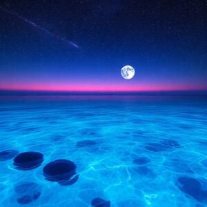 karya seni visual dalam visual vibes